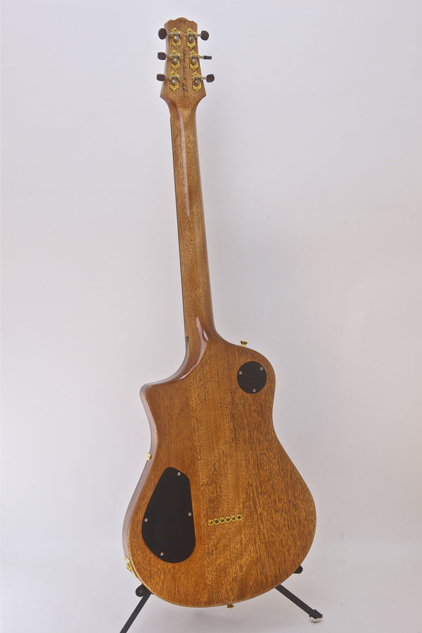 SOLD Asher #817 Electro Sonic II Carve Top - Asher Guitars & Lap